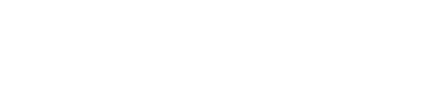 PALAIZ 